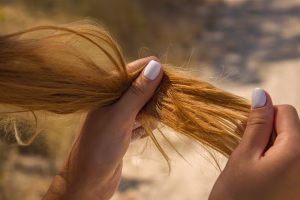 corte bordado